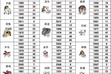 1982屬什麼|82年属什么生肖 1982年与什么生肖合作最佳